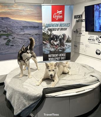 Husky presentatie