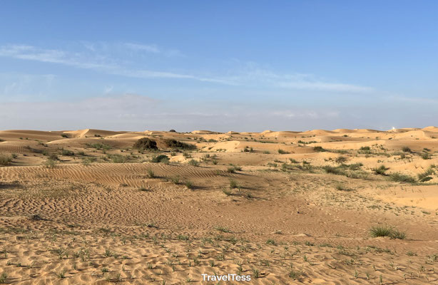 Desert Safari