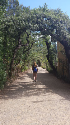 Park in Florence