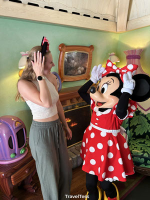 Ontmoeting met Minnie Mouse