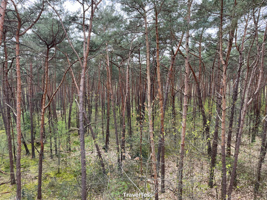 Nationaal Park Bosland