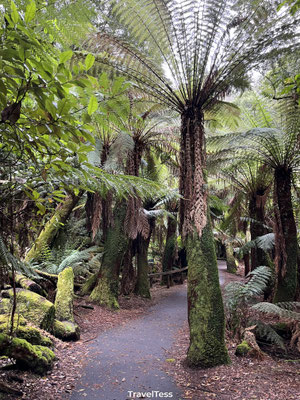 Wandelpad Mount Field National Park