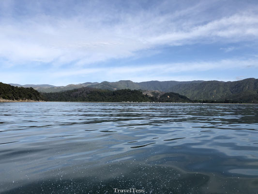 Abel Tasman Park