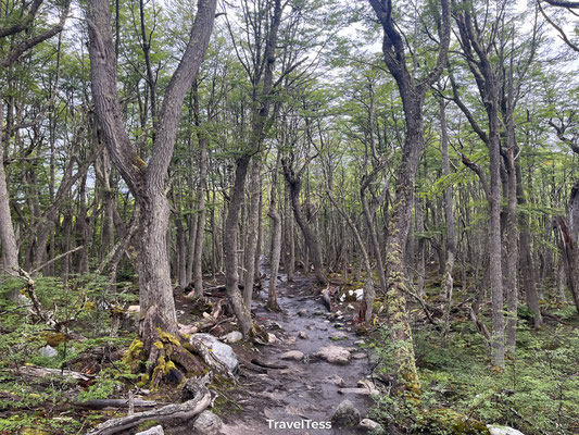 Hike naar Laguna Esmeralda
