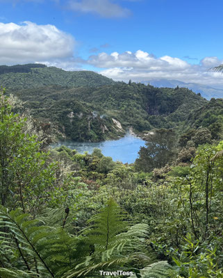 Waimangu Volcanic Valley