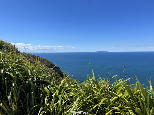 Kust Tauranga