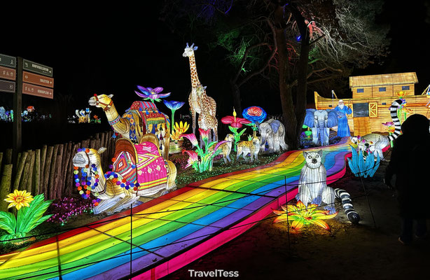 Light Safari