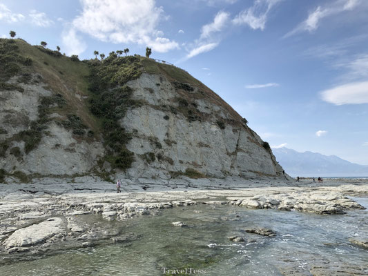 Rotswand Seal colony Kaikoura