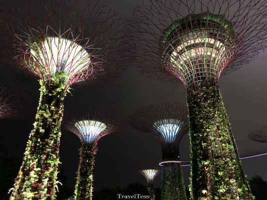 Supertree Gardens by the Bay