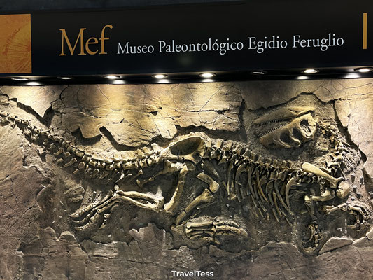 Dinosaurus fossiel