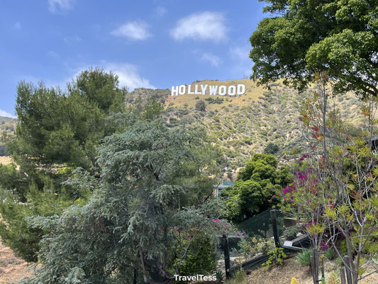 Hollywood Sign