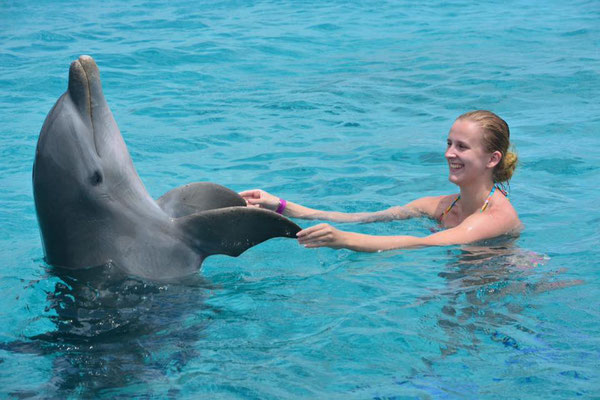 Zwemmen met dolfijnen op Curaçao