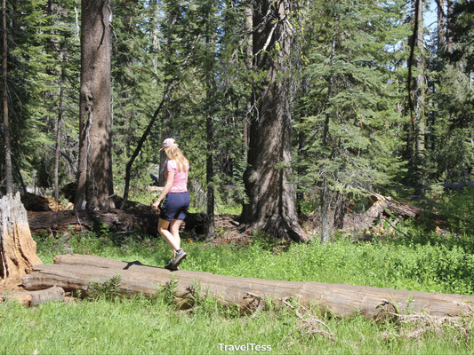 Hike naar Taft Point