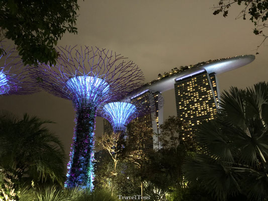 Gardens by the Bay en Marina Bay Sands Hotel