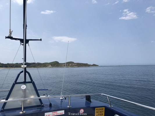 Whale Watch Tour Kaikoura