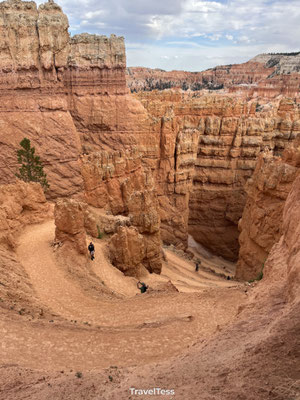 Navajo Loop Trail