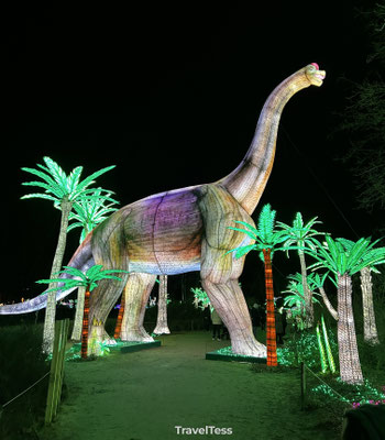 Light Safari Beekse Bergen