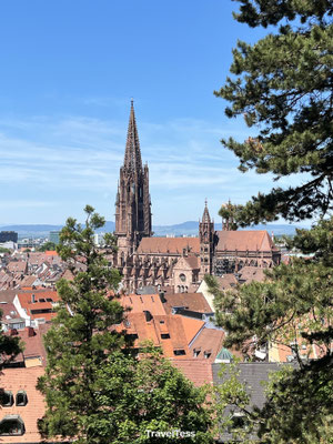 Kathedraal van Freiburg