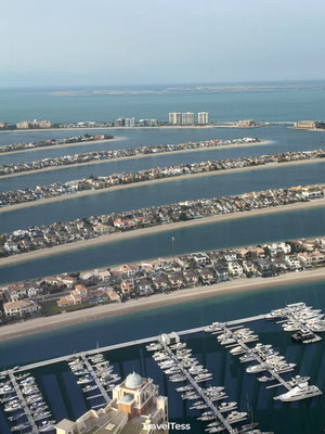The View At the Palm
