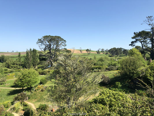 Hobbiton Movie Sets Tour