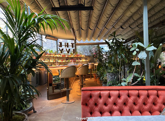 The Ivy City Garden