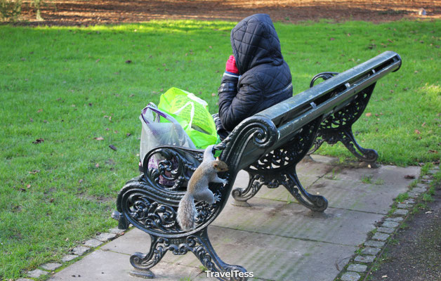 Greenwich Park
