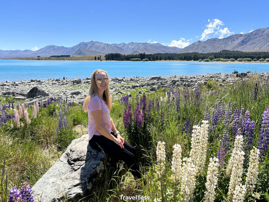 Lupinenvelden bij Lake Tekapo