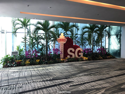 Singapore vliegveld aankomsthal