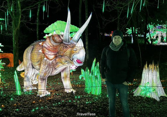 Light Safari Beekse Bergen