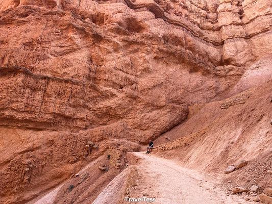 Navajo Loop