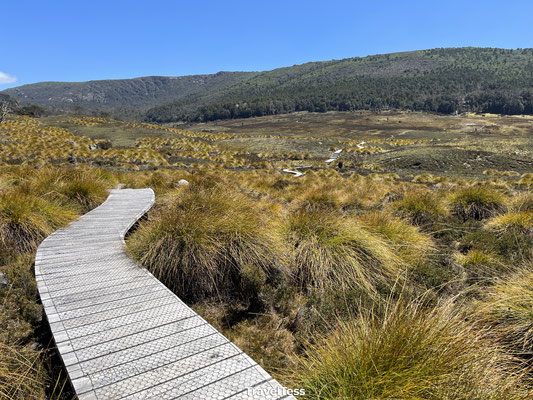 Ronny's Creek
