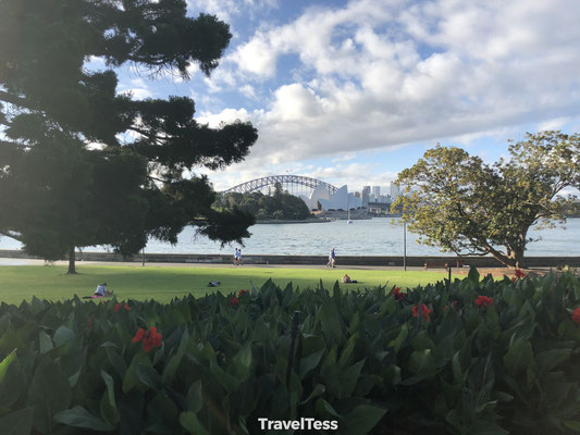 Park in Sydney