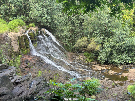 Ho'opi'i Falls