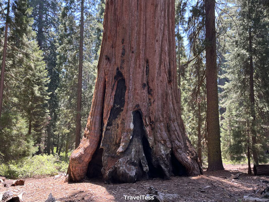 Sequoia National Park