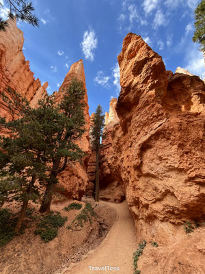 Navajo Loop