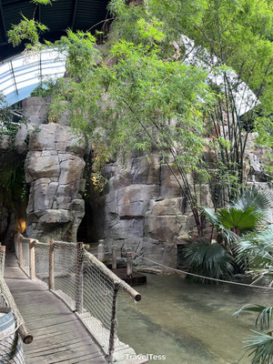 Over Center Parcs Vossemeren
