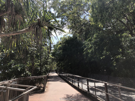 Start Coastal Walk Noosa