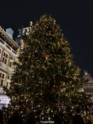 Kerstboom Antwerpen