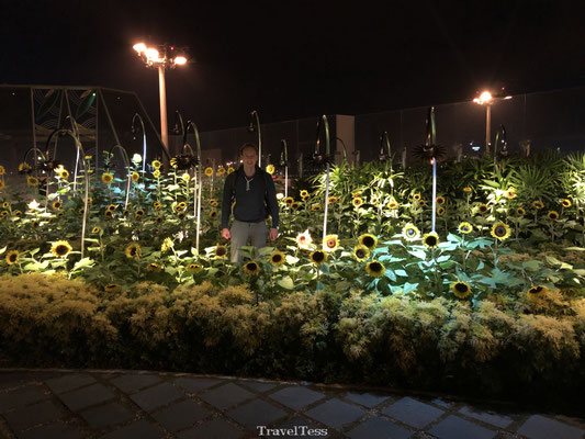 Sunflower Garden Singapore vliegveld