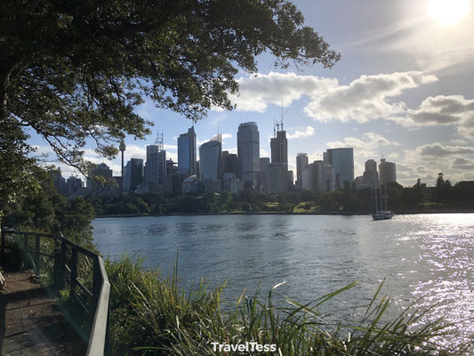 Skyline Sydney