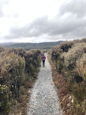 Hiken door Tongariro National Park