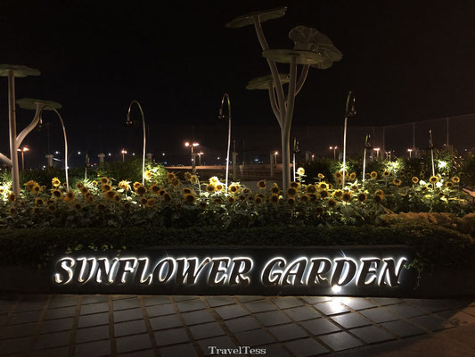 Sunflower Garden Singapore vliegveld