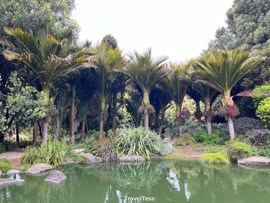 Botanische tuin in Golden Gate Park