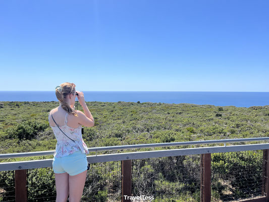 Walvissen spotten bij Margaret River