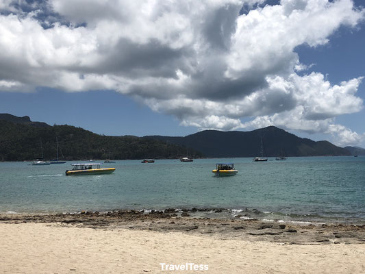 Ocean rafting Whitsunday Islands