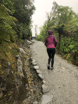 Franz Josef Glacier Valley hike