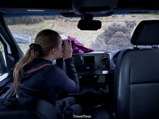 Safari vanuit de camper