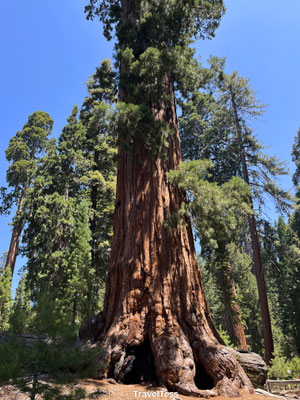 Kings Canyon National Park