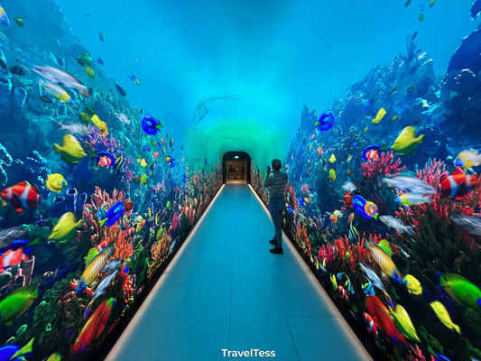 Atlantis The Palm Hotel