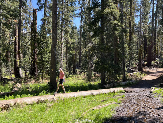 Hike naar Taft Point